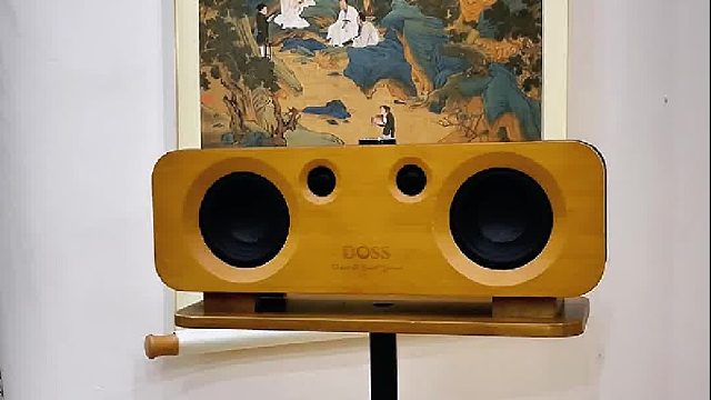 闲暇时光，配上DOSS声浪原木音响