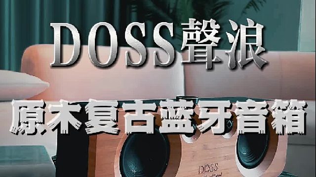 层次丰富的音质，日常听歌很治愈！DOSS声浪原木音响
