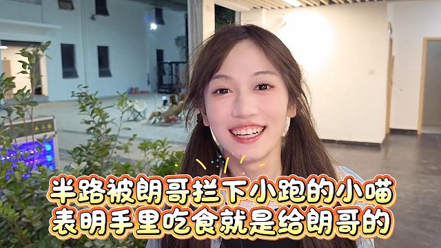半路被朗哥拦下小跑的小喵，表明手里吃食就是给朗哥的
