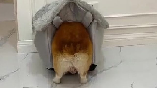严丝合缝