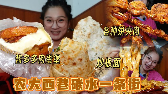 【逛吃保定】农大西巷碳水一条街！酱多多肉蛋堡大饼卷肉！撑晕！