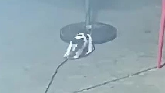 饭店养的狗子不停咬风扇电线,咬破外皮后狗子瞬间没命