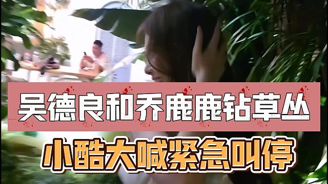 吴德良和乔鹿鹿钻草丛，小酷大喊紧急叫停