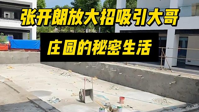 张开朗放大招吸引大哥，庄园的秘密生活