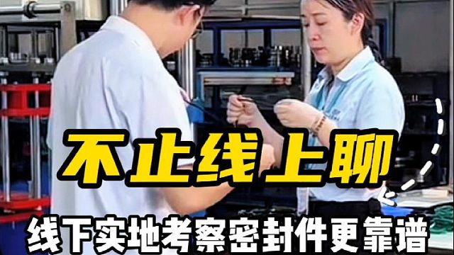 不止线上聊，线下实地考察密封件更靠谱