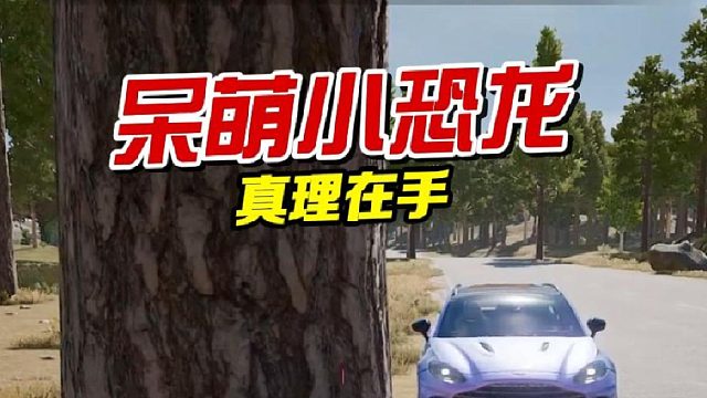 小丑竟是我自己...