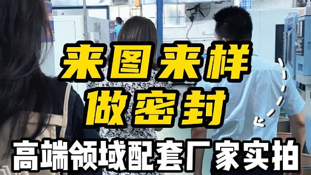来图来样做密封，高端领域配套厂家实拍