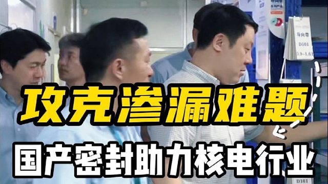 攻克渗漏难题，国产密封助力核电行业
