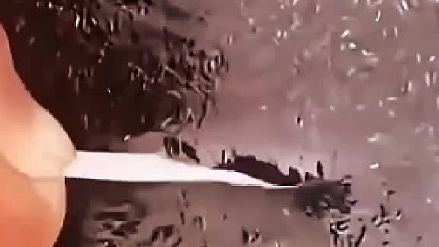 马斯克以为是芝麻糊买了一缸，结果破产了
