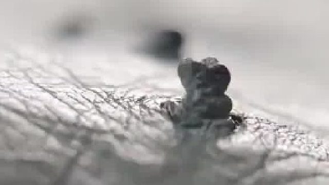 手工制作的鸵鸟皮手提包，每一处突起都是用锤子敲平的