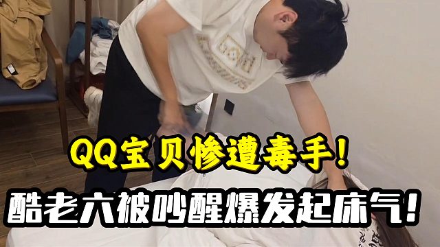 小小酷被吵醒爆发起床气！QQ宝贝惨遭毒手！