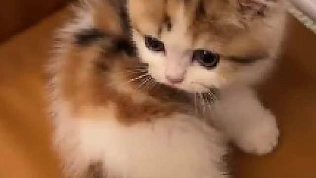 也就听了八百次​