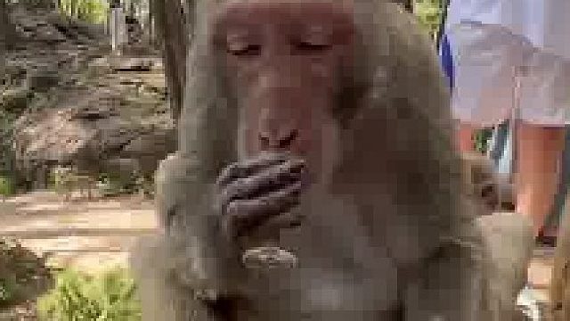 菜还没上完猴哥就自己罚了三杯​