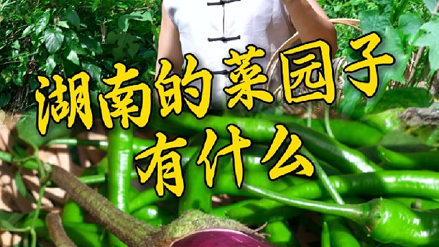带你看看湖南人夏天的菜园子有多丰富，你更喜欢哪一个