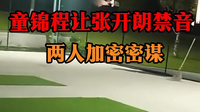 童锦程让张开朗禁音，两人加密密谋