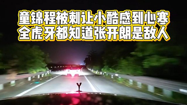 童锦程被刺让小酷感到心寒，全虎牙都知道张开朗是敌人