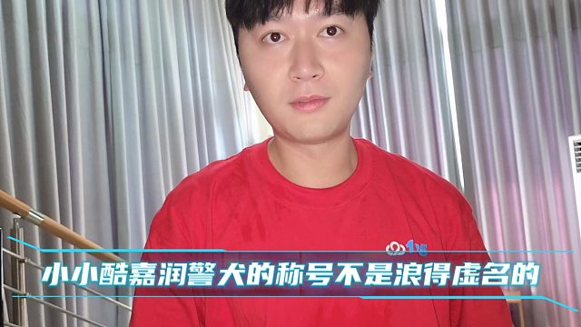小小酷嘉润警犬的称号不是浪得虚名的