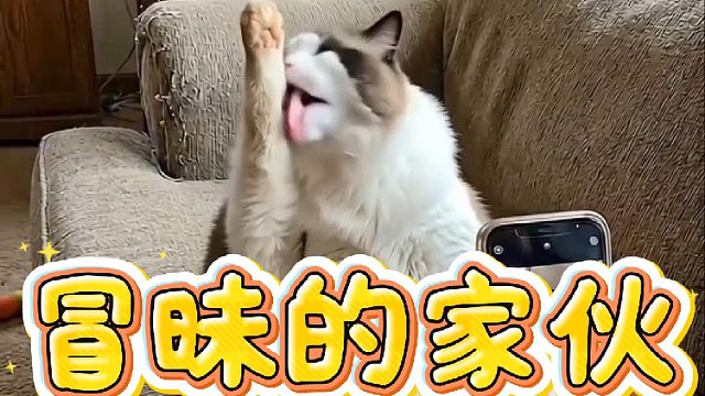 冒昧的家伙