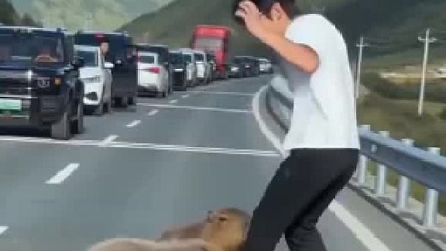 哈哈太可爱了