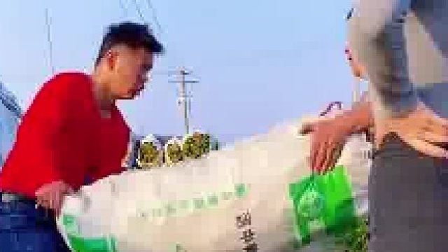 女婿帮老丈人干活，没想到真的只是帮了一下