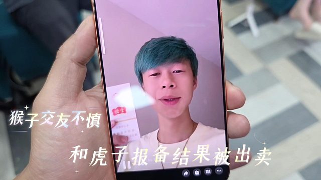 猴子交友不慎和虎子报备结果被出卖