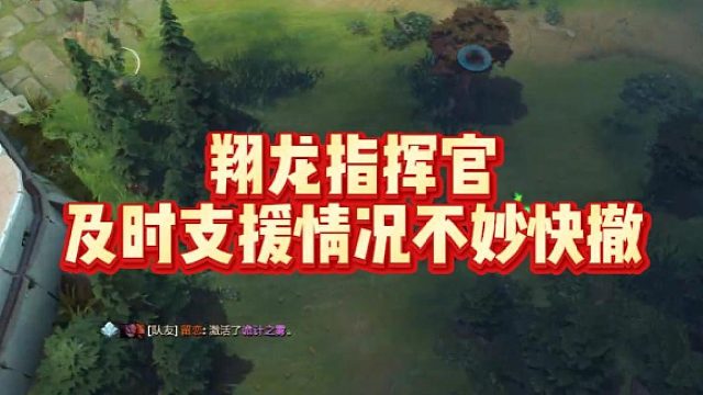 翔龙指挥官，及时支援，情况不妙快撤