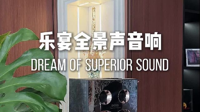 双机组合，重塑听觉新维度！DOSS乐宴全景声组合音响