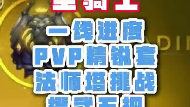 魔兽世界成品号圣骑士法师塔挑战