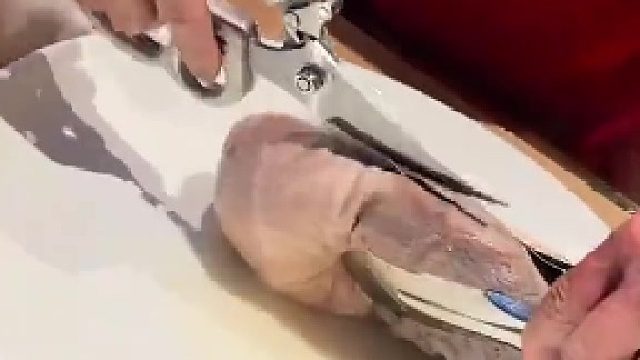 肚包翅，会吃还得是潮汕人