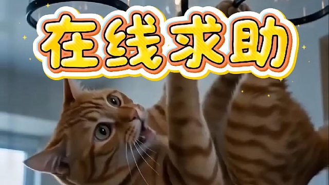家人们怎么办啊