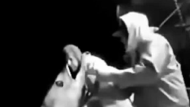 螳螂捕蝉黄雀在后
