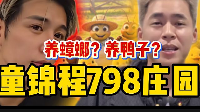 798庄园养鸭子和蟑螂？也不是不行！