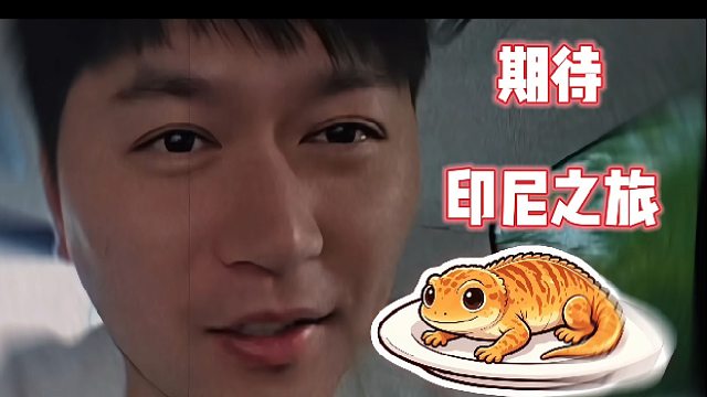期待与蛇哥的印尼之旅！
