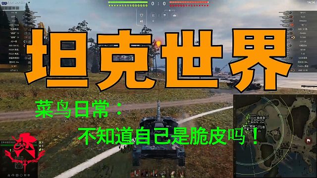 坦克世界—菜鸟日常：不知道自己是脆皮吗！