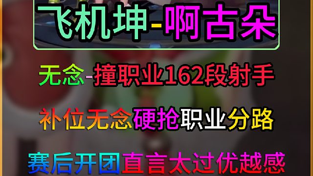 无念巅峰赛上硬抢162段职业射手分路！赛后直言职业优越感太强！
