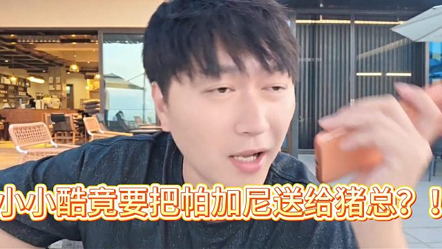 小小酷疯了吗！竟要把帕加尼送给猪总？！