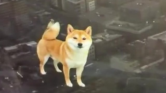 上班想狗狗怎么办​