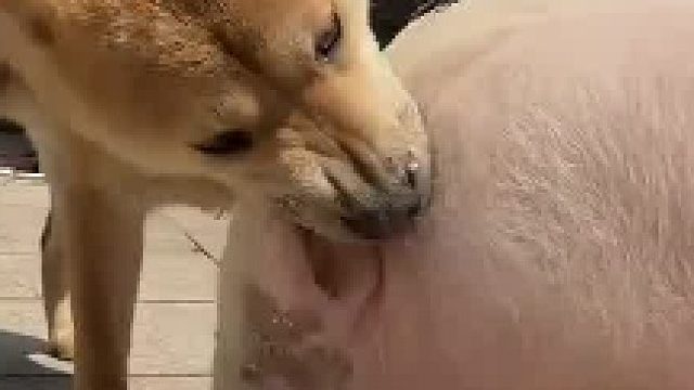 先吃饱，再翻脸