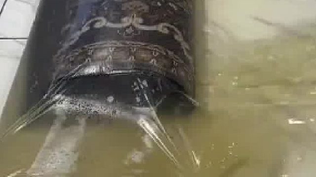 这种方式几乎不需要任何努力