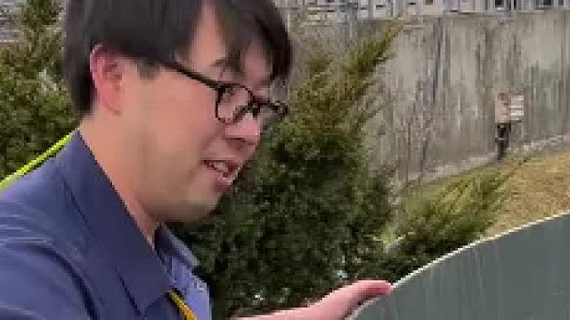 达氏鳇人工养殖，“吞食力” 极强，能捕食大型猎物的鱼