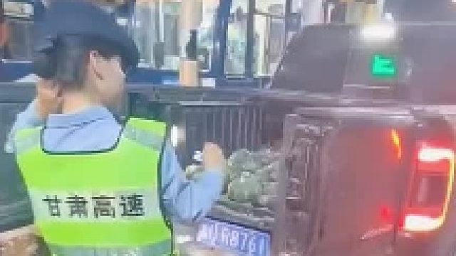 满满一车西瓜，这车牌有点意思！