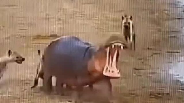 这配合简直天衣无缝