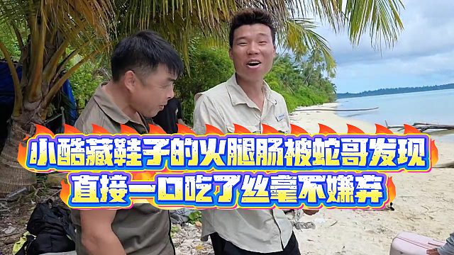 【小小小酷哥】小酷藏鞋子的火腿肠被蛇哥发现，直接一口吃了丝毫不嫌弃