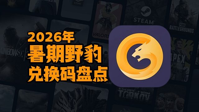 2026年暑期更新｜野豹加速器兑换码 CDK 存活名单盘点