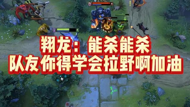 翔龙：能杀能杀，队友你得学会拉野啊加油