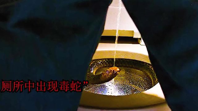 童年阴影《航班蛇患》惊悚来袭