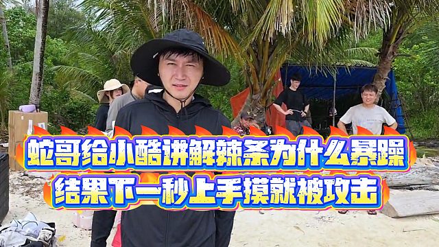 【小小小酷哥】蛇哥给小酷讲解辣条为什么暴躁，结果下一秒上手摸就被攻击