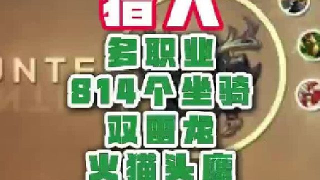 魔兽成品号 猎人
