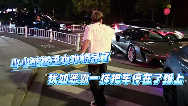 小小酷被王木木惊呆了，犹如恶霸一样把车停在了路上
