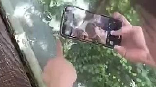 让朋友看玻璃上有个蛾子”，结果万万没想到！网友：此蛾子非彼蛾子